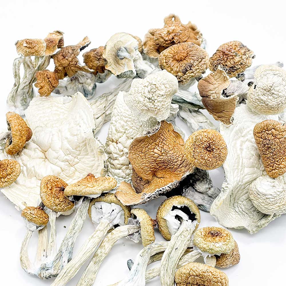 What Are Magic Mushrooms And How Do They Affect You?